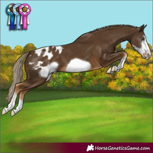 Horse Color:Chocolate Palomino Frame Blanket 