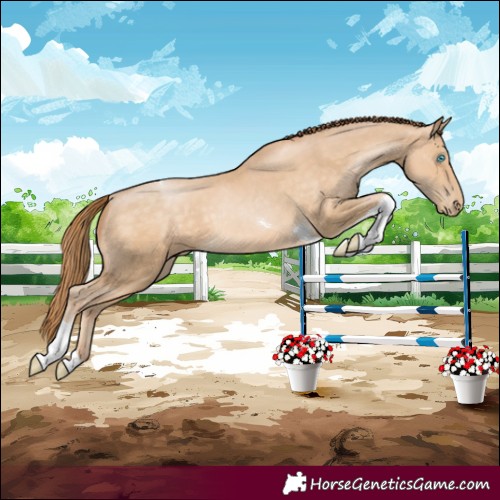 Horse Color:Buckskin Pearl Tobiano 