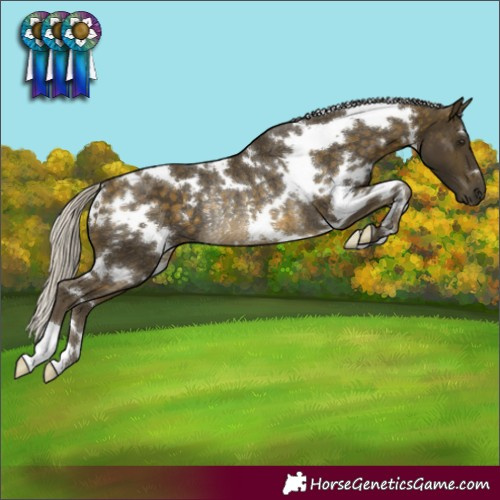 Horse Color:White Spotted Silver Buckskin Rabicano 