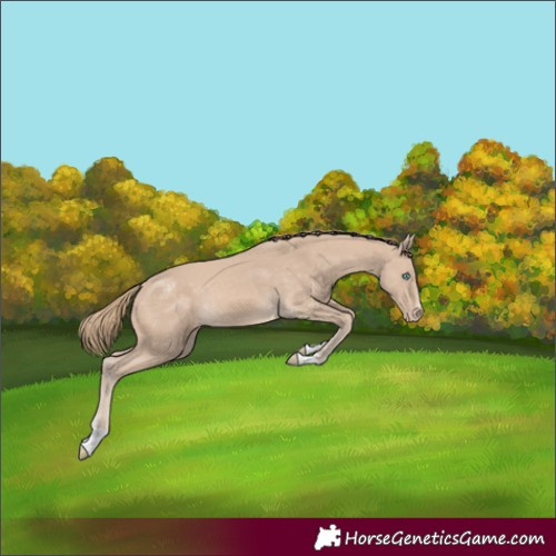 Horse Color:Perlino