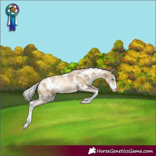 Horse Color:White Spotted Silver Buckskin Pearl Sabino Rabicano 