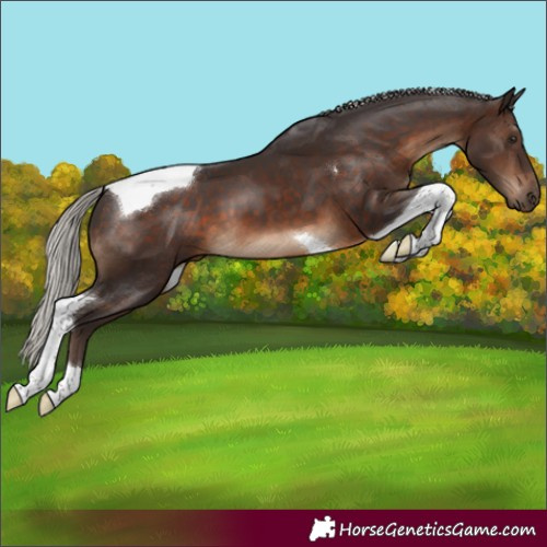 Horse Color:Silver Brown Tobiano 