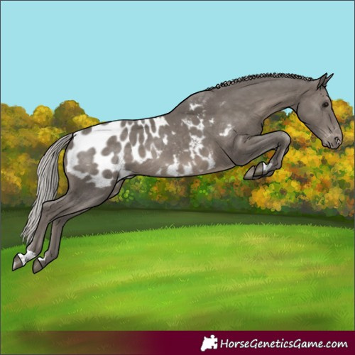 Horse Color:Silver Black Blanket