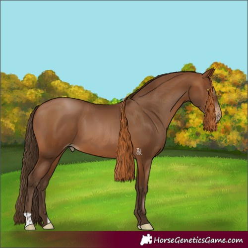 Horse Color:Gray Bay Pearl 