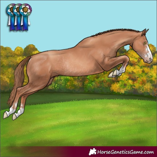 Horse Color:Gold Champagne Rabicano