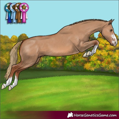 Horse Color:Red Dun 
