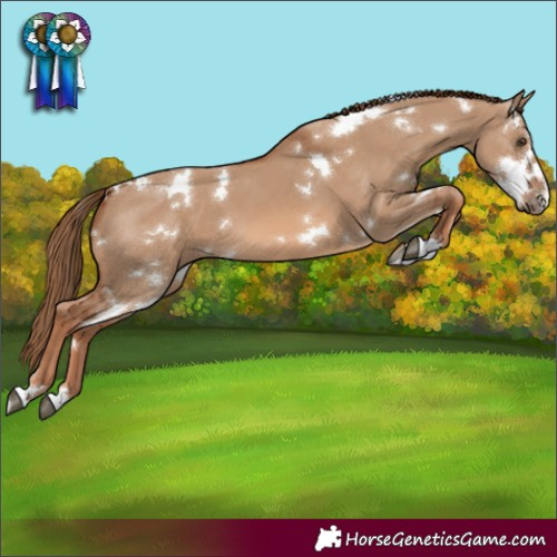 Horse Color:White Spotted Red Dun 