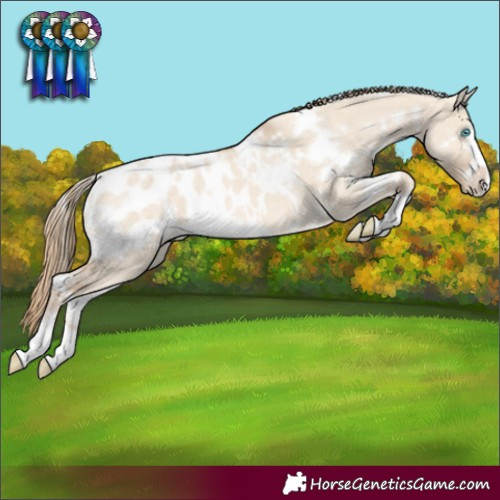 Horse Color:White Spotted Perlino Dun Blanket Rabicano 