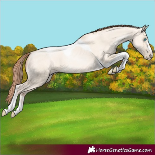 Horse Color:Amber Cream Champagne Pearl Dun Tobiano