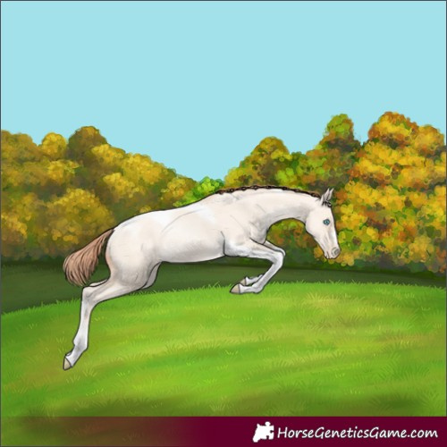 Horse Color:Amber Cream Champagne Pearl Dun Tobiano 