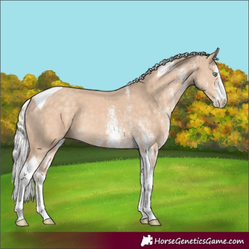 Horse Color:White Spotted Silver Perlino Tobiano 