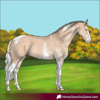Horse Color:White Spotted Silver Perlino Tobiano