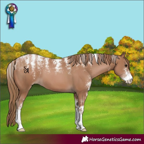 Horse Color:Powder White Black Pearl