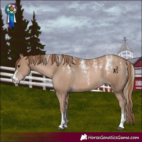 Horse Color:Powder White Black Pearl