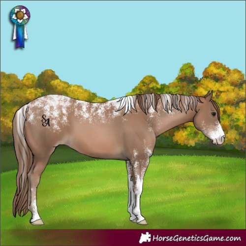 Horse Color:Powder White Black Pearl 