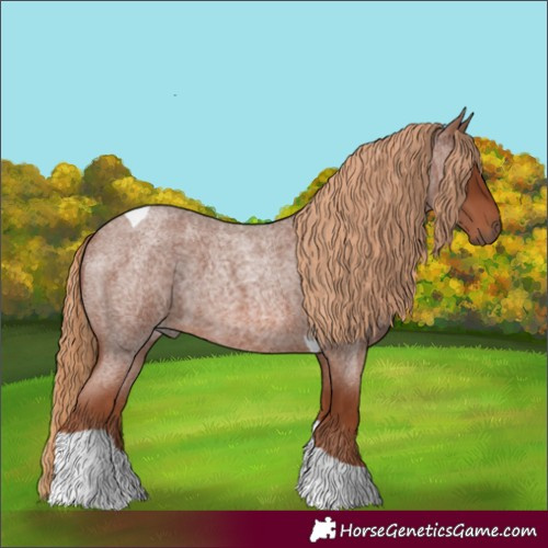 Horse Color:Red Roan Tobiano