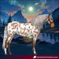 Horse Color:Silver Brown Dun Near Leopard