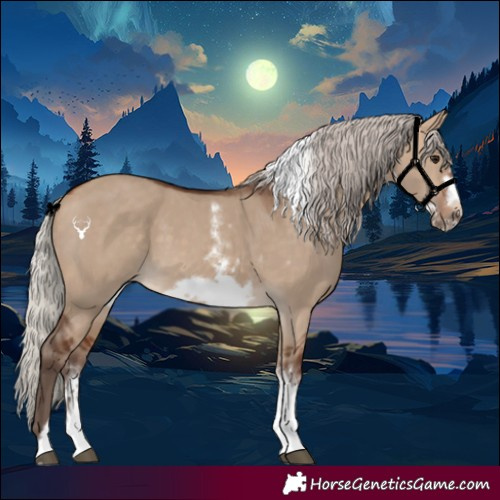 Horse Color:Silver Bay Dun Sabino Tobiano Frame Rabicano 