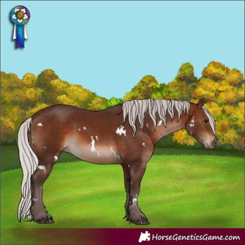 Horse Color:White Spotted Silver Brown 