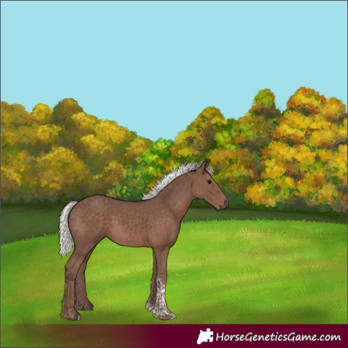 Horse Color:Silver Black Tobiano 
