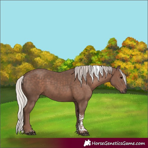 Horse Color:Silver Black Tobiano