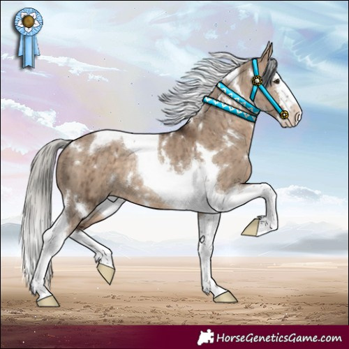 Horse Color:White Spotted Silver Brown Dun Splash Tobiano Rabicano Brindle