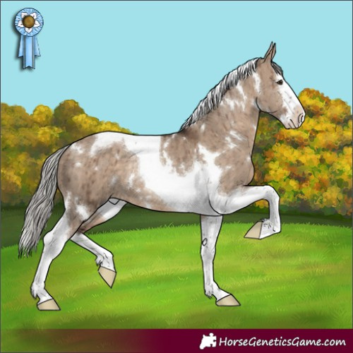 Horse Color:White Spotted Silver Brown Dun Splash Tobiano Rabicano Brindle 