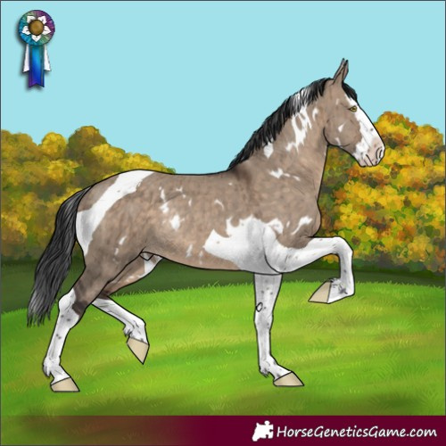 Horse Color:White Spotted Brown Dun Splash Tobiano Rabicano Brindle 