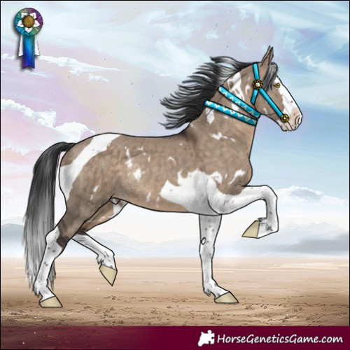 Horse Color:White Spotted Brown Dun Splash Tobiano Rabicano Brindle 