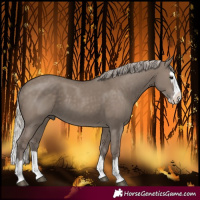 Horse Color:Silver Grullo Sabino Splash