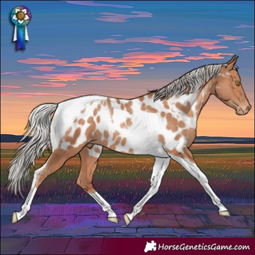 Horse Color:Silver Sable Champagne Tobiano Blanket 