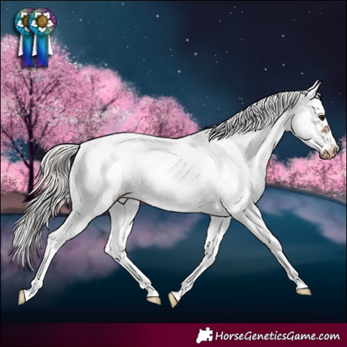 Horse Color:Silver Brown Sabino Frame Blanket