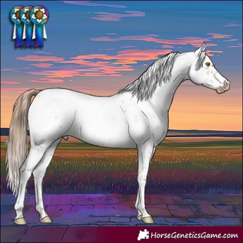 Horse Color:Brown Pearl Sabino Frame Blanket 