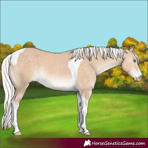 Horse Color:Silver Perlino Tobiano