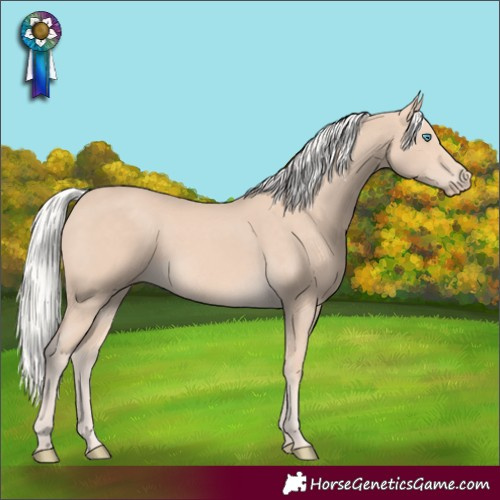 Horse Color:Silver Perlino Rabicano 