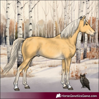 Horse Color:Palomino 