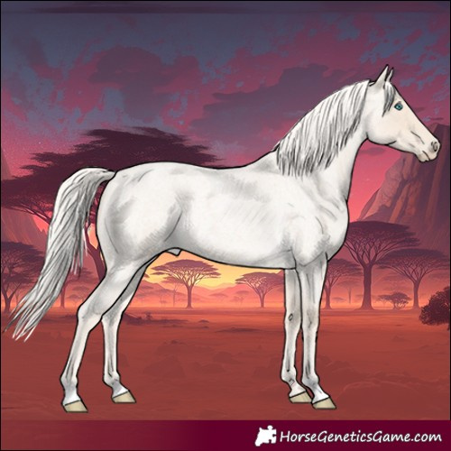 Horse Color:Cremello Roan 