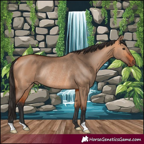 Horse Color:Bay Dun Rabicano