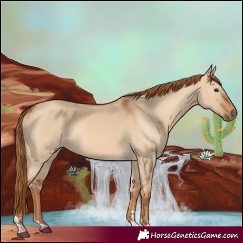 Horse Color:Red Dun