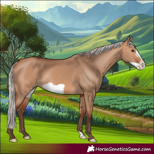 Horse Color:Silver Bay Dun Frame
