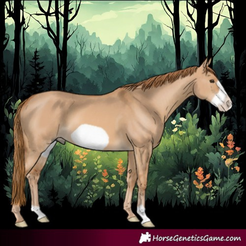 Horse Color:Red Dun Frame 