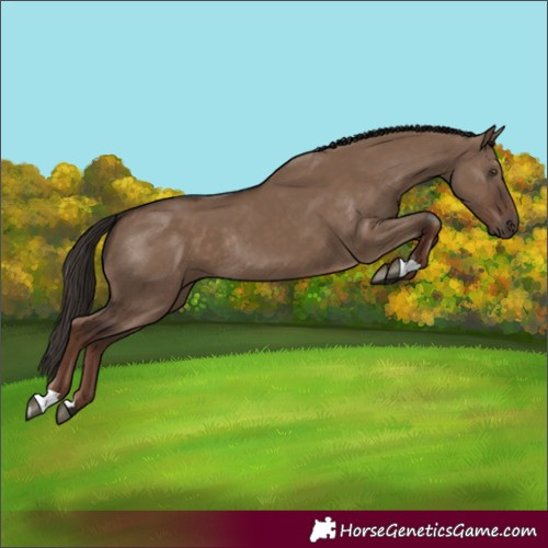 Horse Color:Liver Red Dun Rabicano