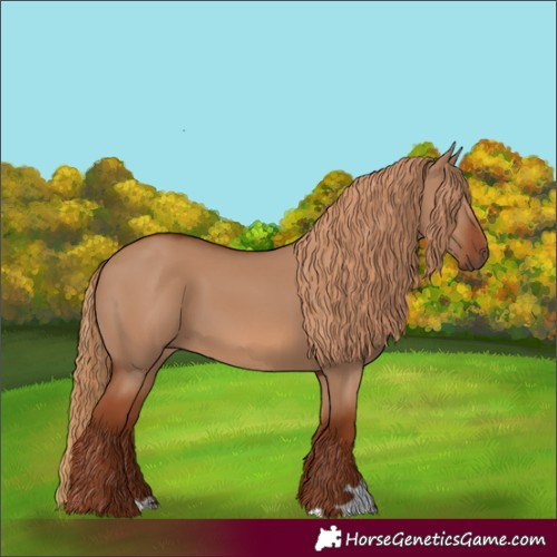 Horse Color:Unknown 