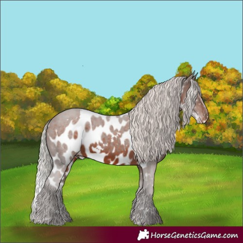 Horse Color:White Spotted Silver Brown Skewed LP Spotted