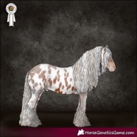 Horse Color:White Spotted Silver Brown Skewed LP Spotted