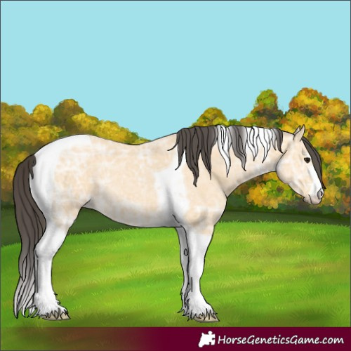 Horse Color:Buckskin Ice Tobiano 