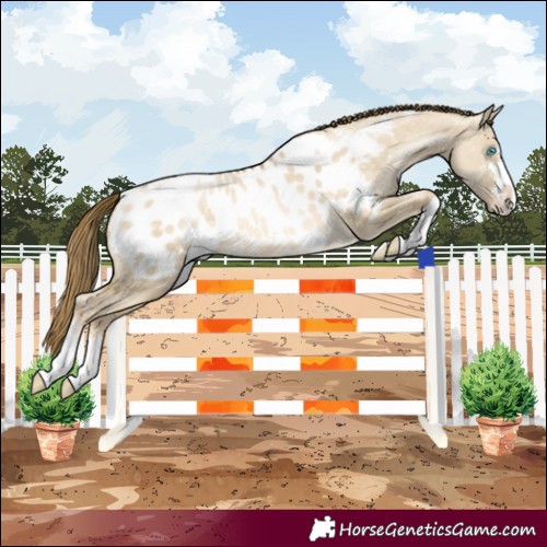 Horse Color:Buckskin Pearl Dun Blanket
