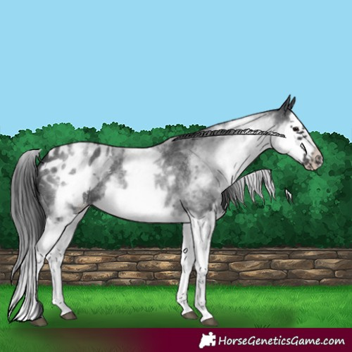 Horse Color:White Spotted Blue Roan Splash Frame Blanket 