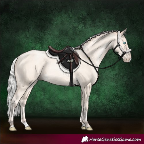 Horse Color:Silver Amber Cream Champagne Pearl Splash