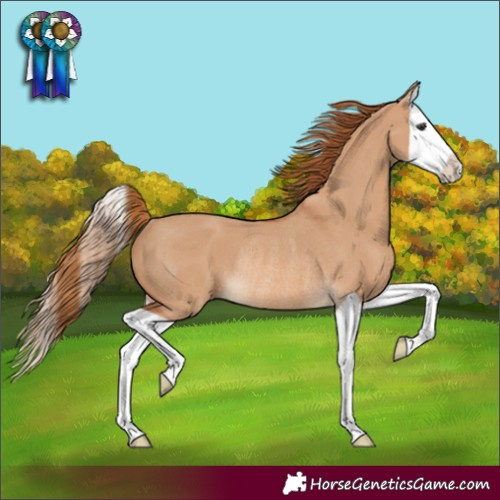 Horse Color:Unknown 